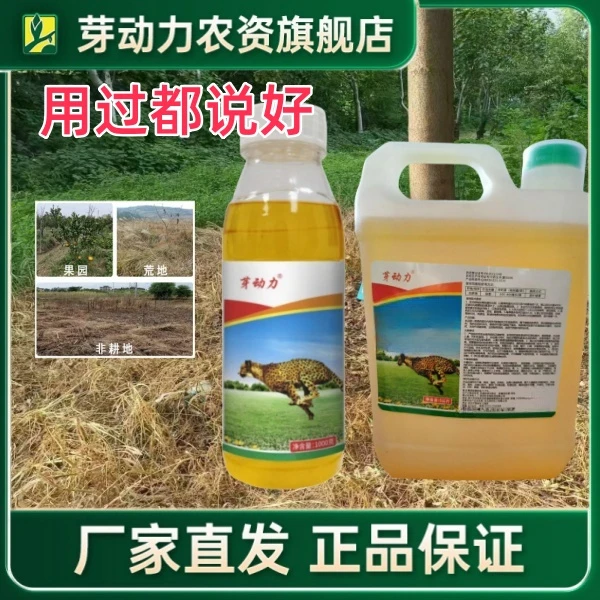 芽动力高含量果园茶园田埂非耕地牛筋愺婆婆纳水花生非耕地除草剂
