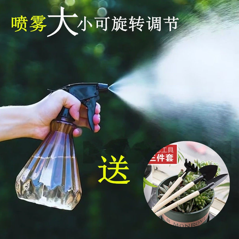 浇花小喷壶消毒喷雾园艺多肉浇花塑料喷壶家用小型喷雾瓶压力喷壶