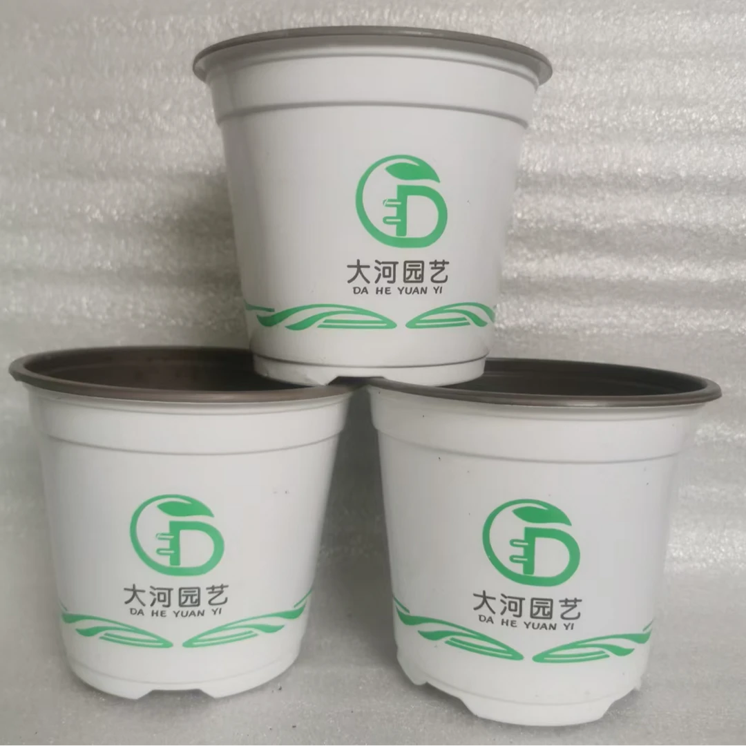 育苗盆扦插育苗盆栽多肉透气140#杯（口径14cm高度12cm）