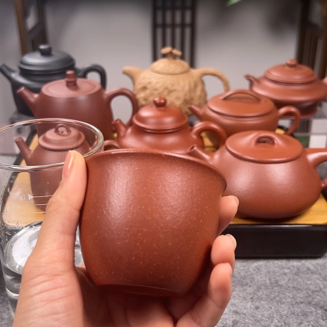 【闪购商品】紫砂茶壶