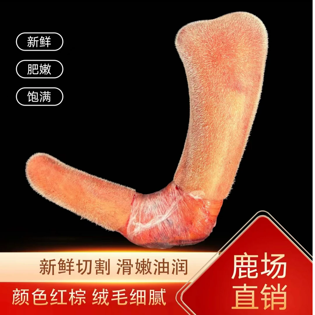 东北鹿乡产地 新鲜整支鹿茸   营养 滋补 煲汤 泡酒 炖菜