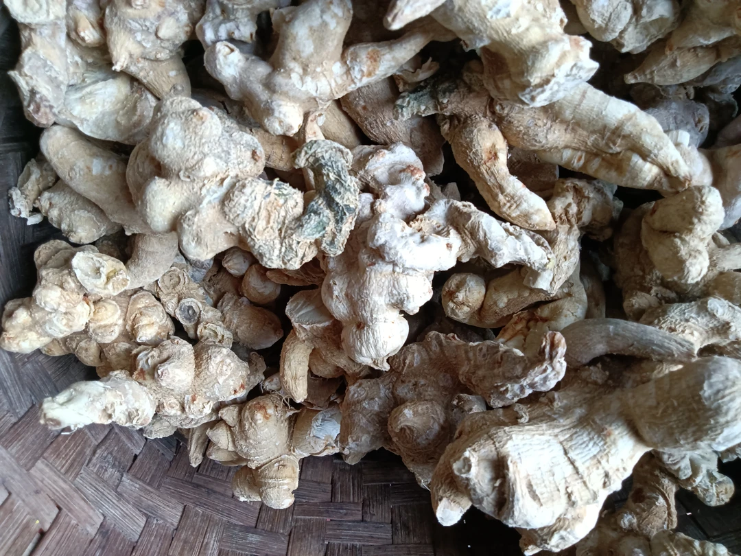 云南土特产。，，竹节干货链接