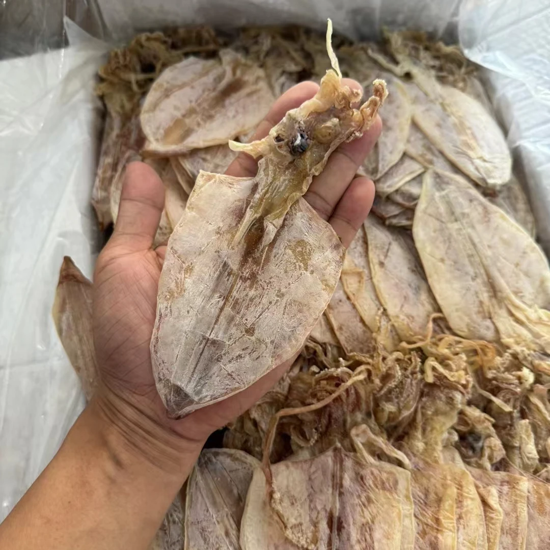 A3鱿鱼干海鲜干货烧烤手撕鱿鱼干淡干鱿鱼500g