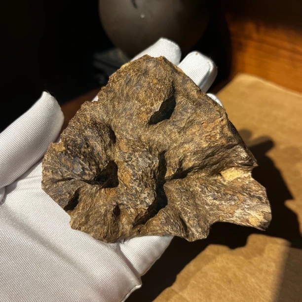 海南【野】高端熏香原材料10g