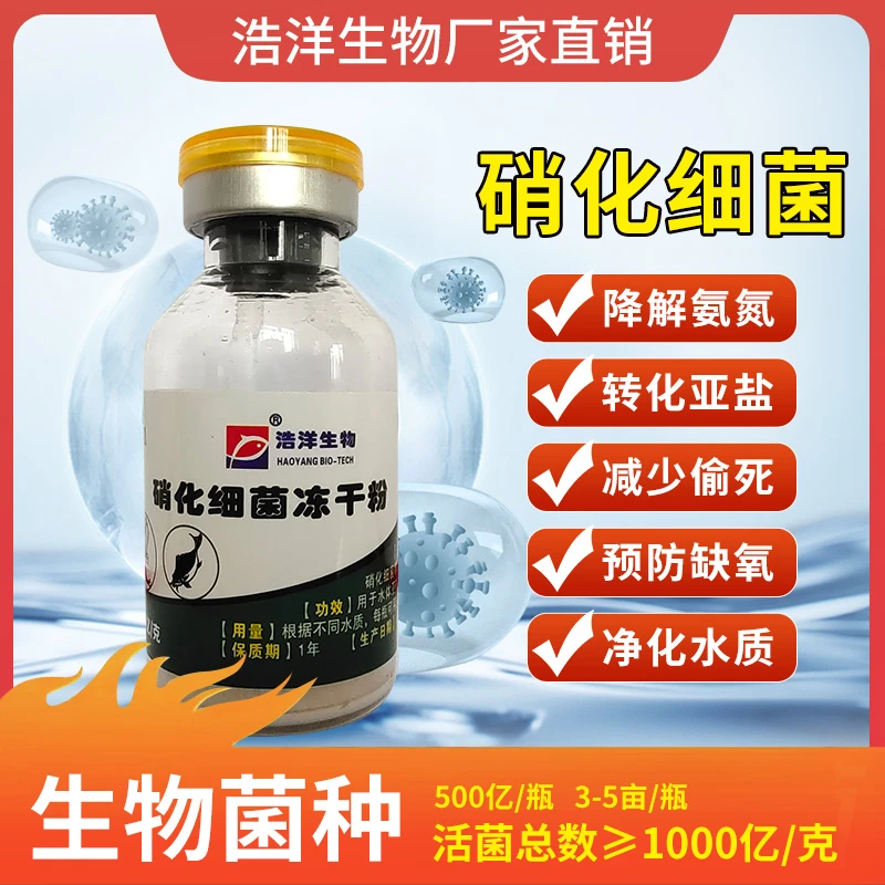 硝化细菌水产养殖调水降亚硝酸盐冻干粉培养藻类增加溶氧