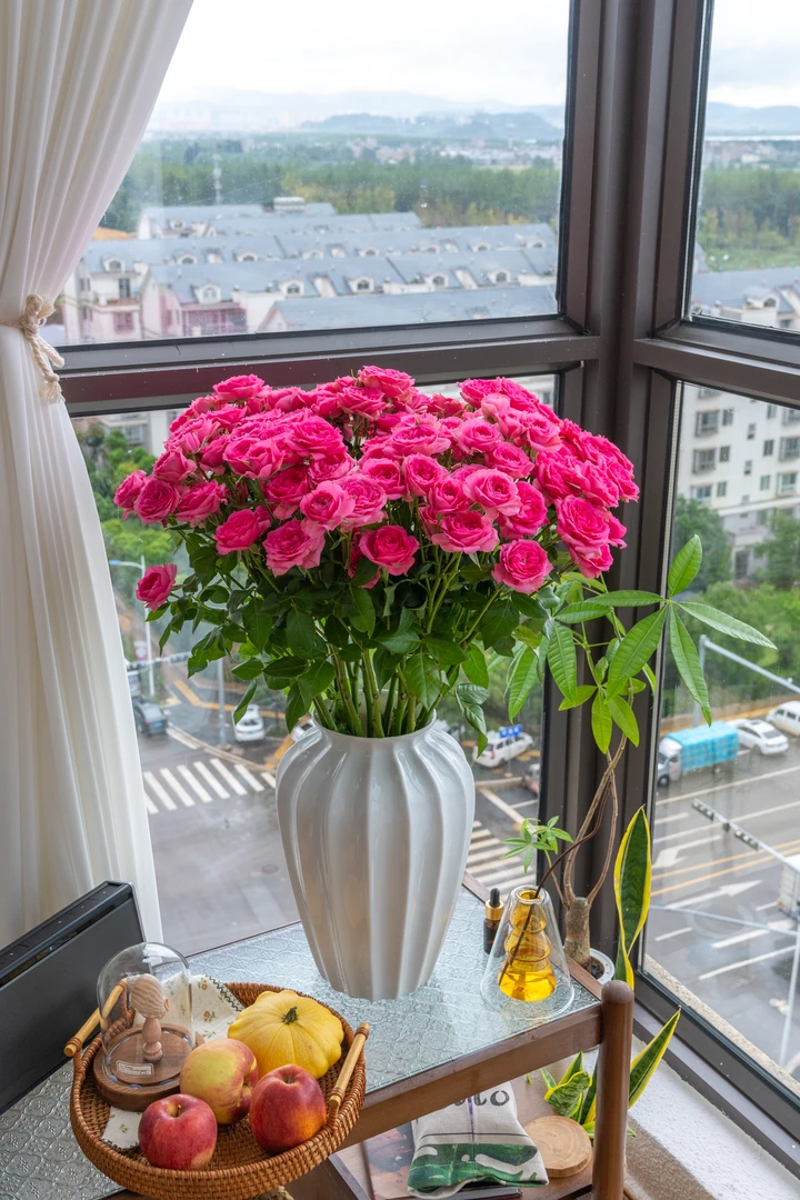 多头苏菲宝贝云南高品质鲜切花鲜花办公室花节日礼品居家装饰