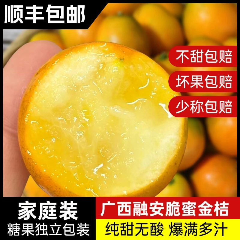 【第三代融安金桔2斤】广西融安脆蜜金桔金柑纯甜无酸果园直发