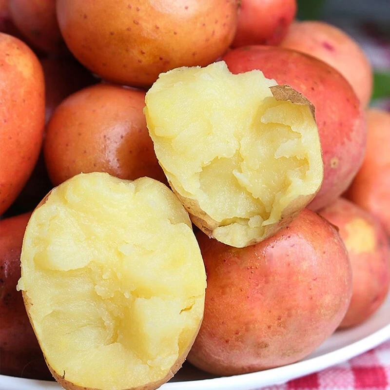 【遇见美物】云南红皮土豆黄心土豆5斤高原种植粉糯沙香口感细腻