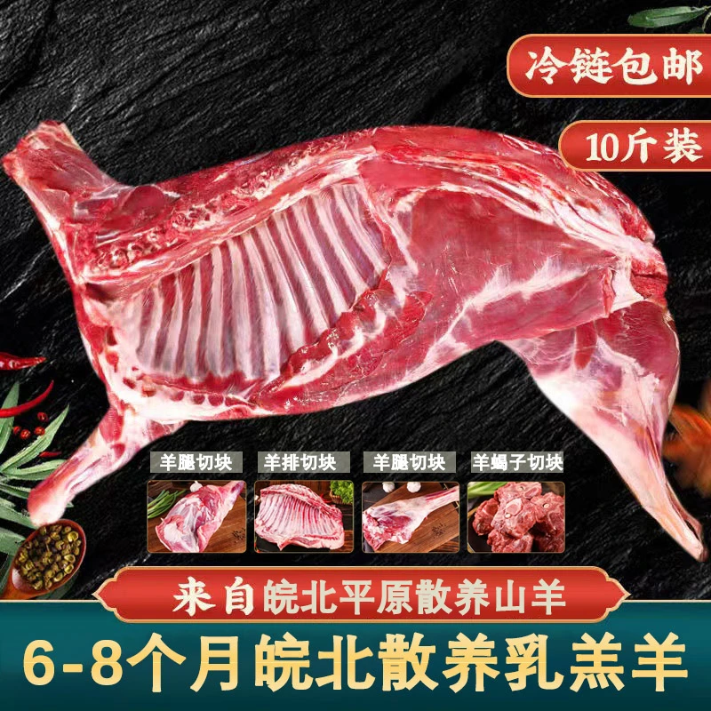 【顺丰冷链】半只羊10斤小羔羊手把肉半羊现切新鲜（羊腿羊排羊蝎子）