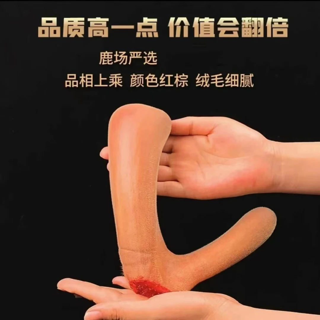 东北特产鹿乡产地 新鲜二杠鹿茸 滋补 营养 煲汤泡酒 涮火锅