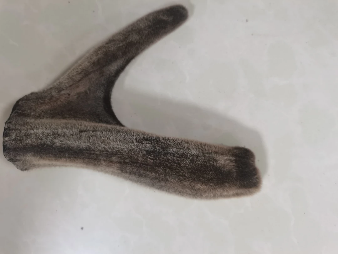 吉林省 鹿乡 梅花鹿 干鹿茸 鹿场直发