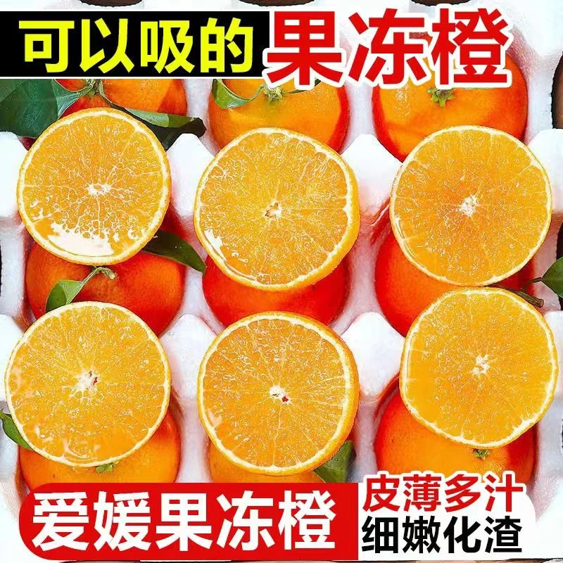【爱媛38号果冻橙】四川·眉山爱媛果冻橙·新鲜水果爽口多汁包邮