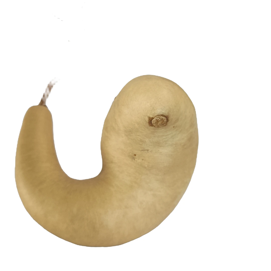 天然葫芦，异形葫芦