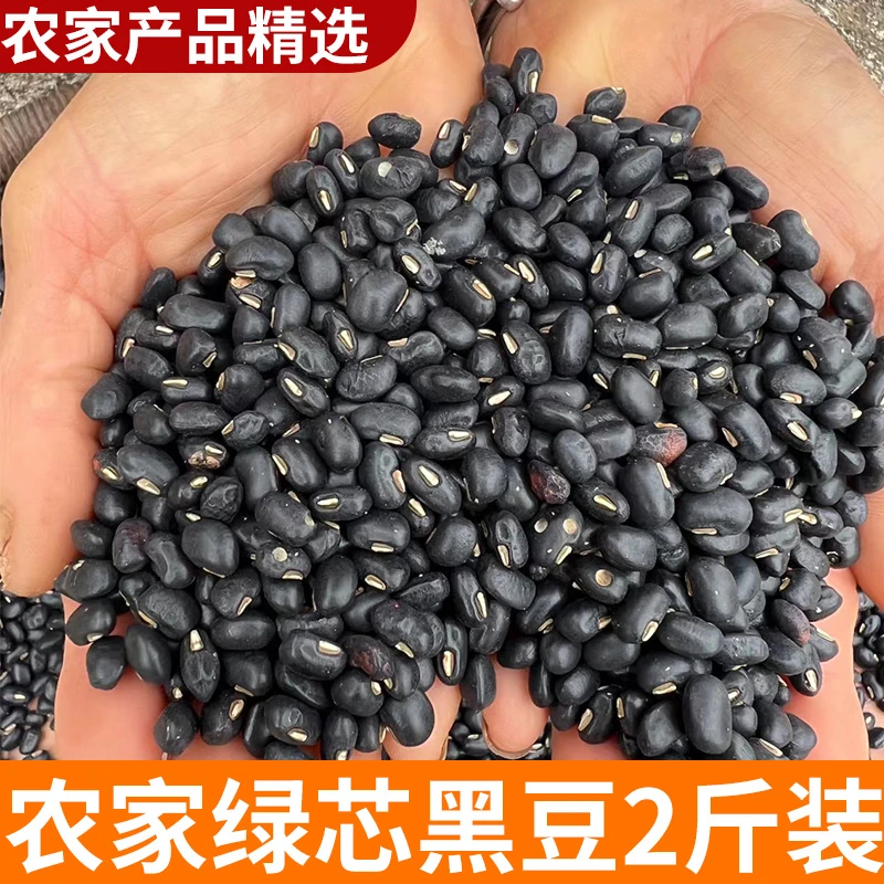 黑豆  2斤正宗农家 新绿芯农家黑豆 农家山货