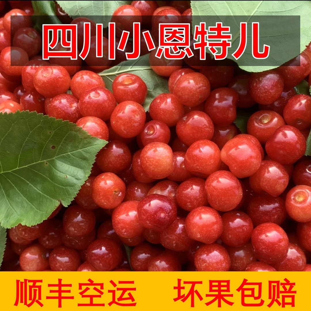 【顺丰空运 】四川特产小恩特儿农家自产树莓家乡水果 坏果包赔