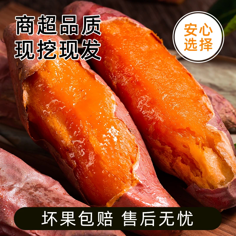 【福利】宝宝果5斤烟薯25号红薯正宗山东蜜薯新鲜农家超甜番薯辅食