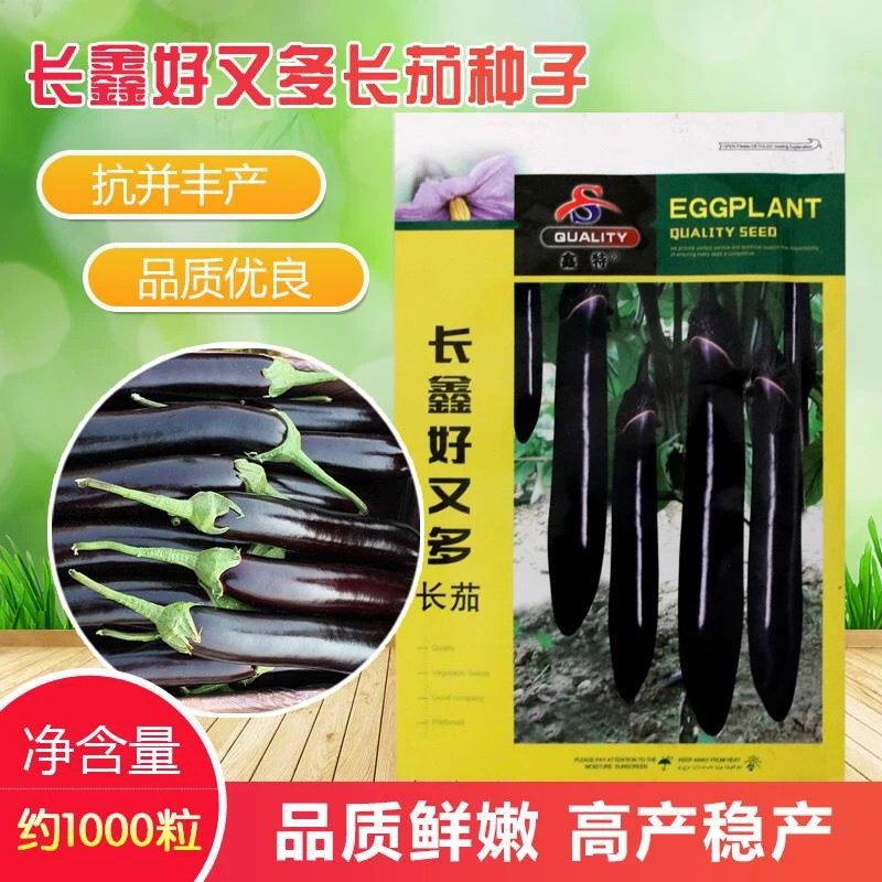 【满5包包邮】紫红长茄种籽春秋季庭院菜园茄子种子农家紫皮长茄子