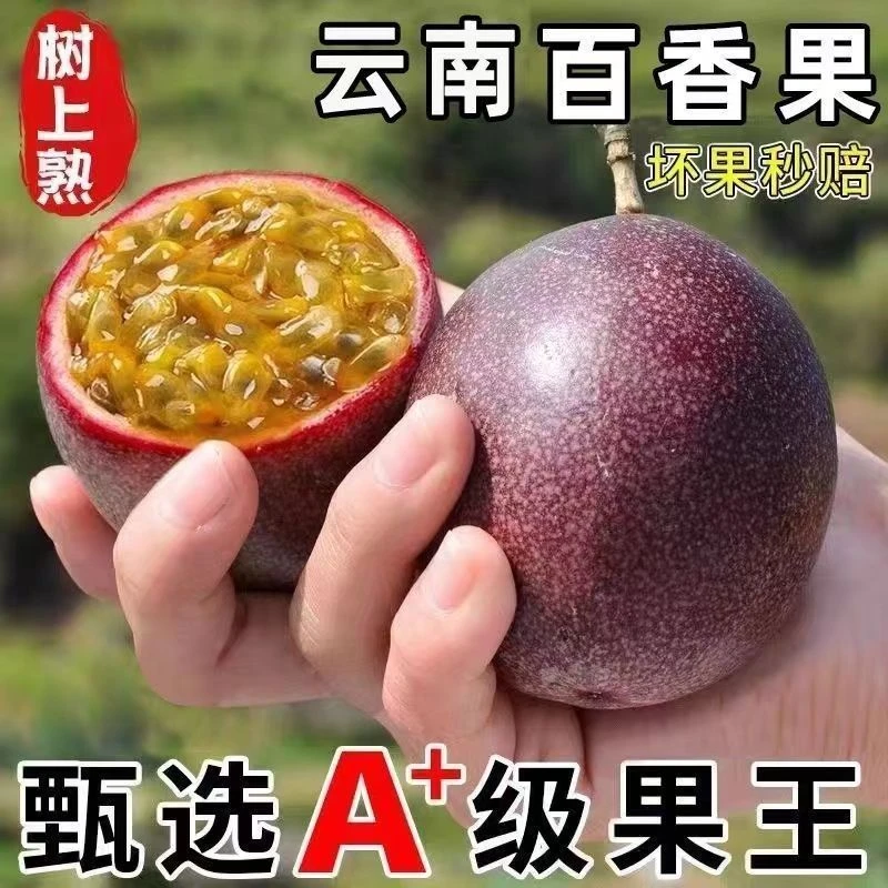 【手选精果】现摘云南高山百香果一箱果园直发