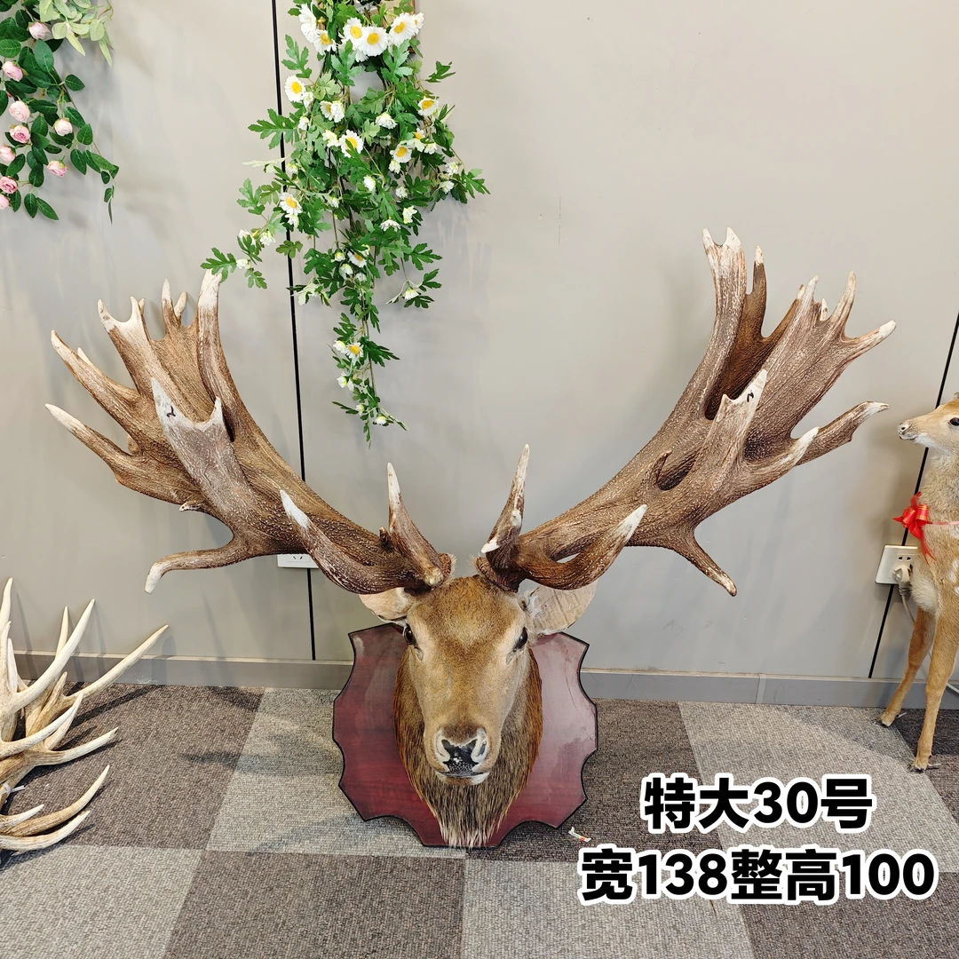 鹿头壁挂特大号短脖多叉鹿角墙壁挂饰客厅酒吧装饰品壁饰装饰鹿头