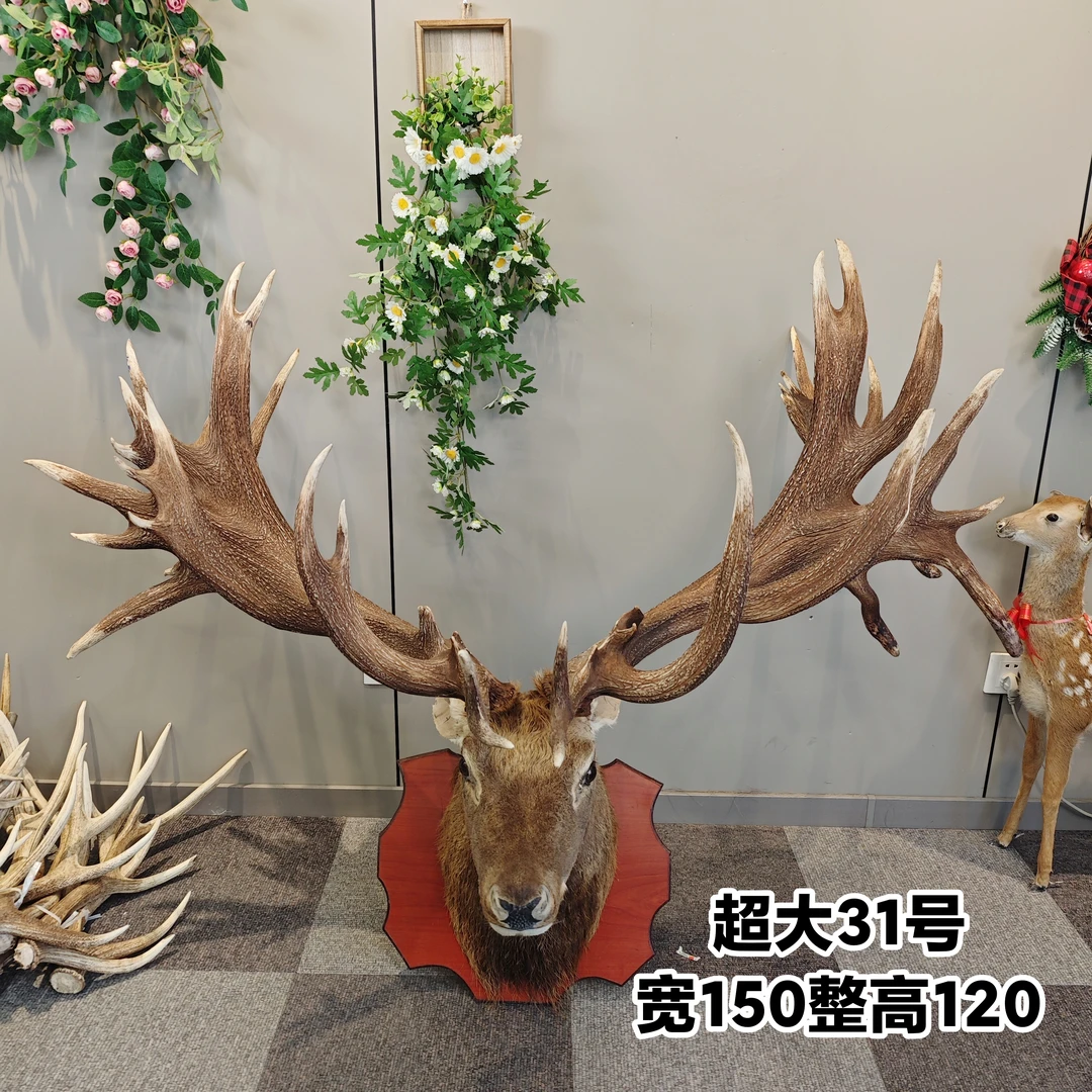 鹿头壁挂特大号短脖多叉鹿角纯鹿皮客厅背景墙沙发墙装饰酒吧酒店