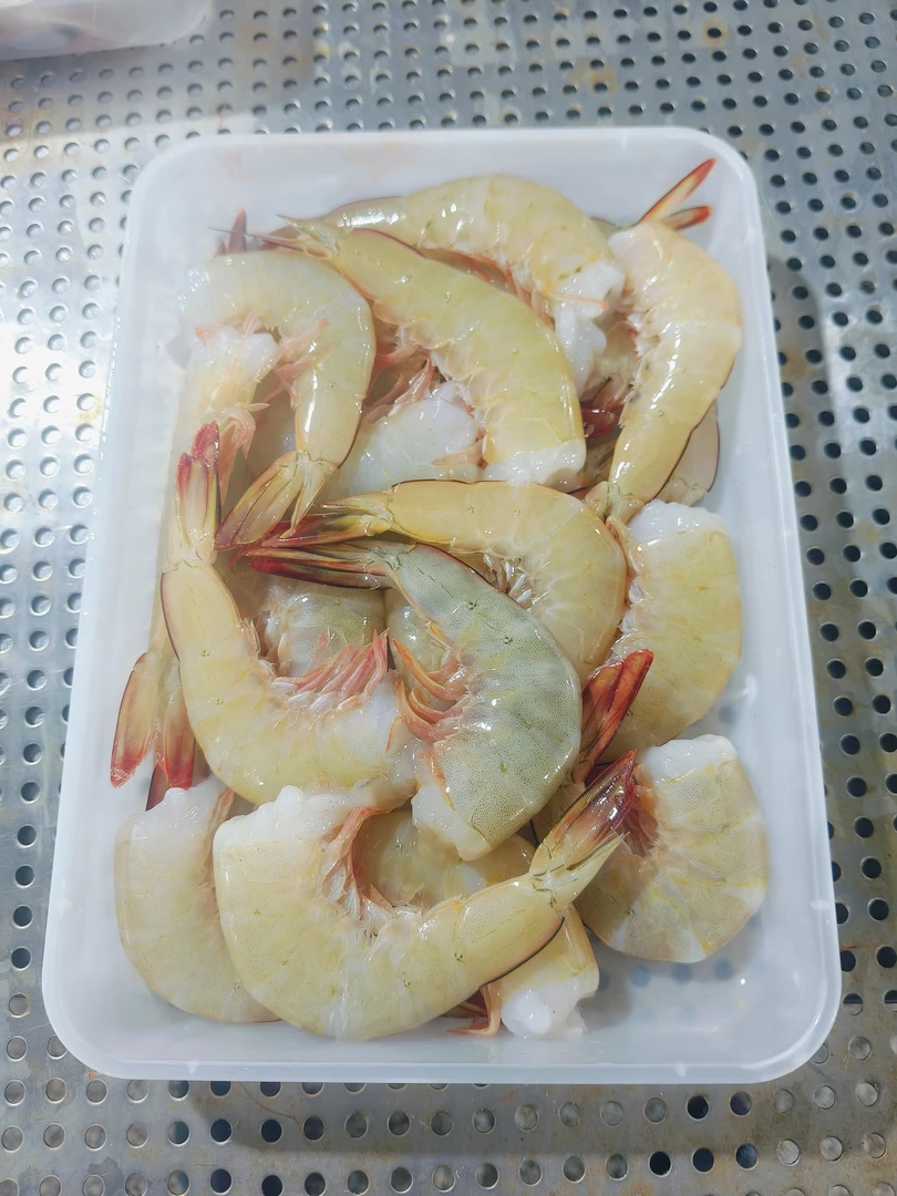 海捕野生去头明虾 白丁虾 白刺虾