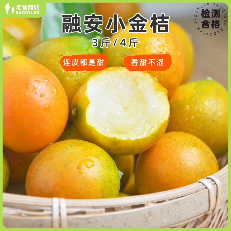预售5天老爸评测广西滑皮小金桔当季水果中大果过节礼盒装工厂发