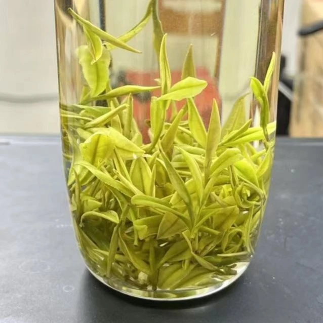 头采安吉白茶特级兰花香鲜爽耐泡核心产地新茶