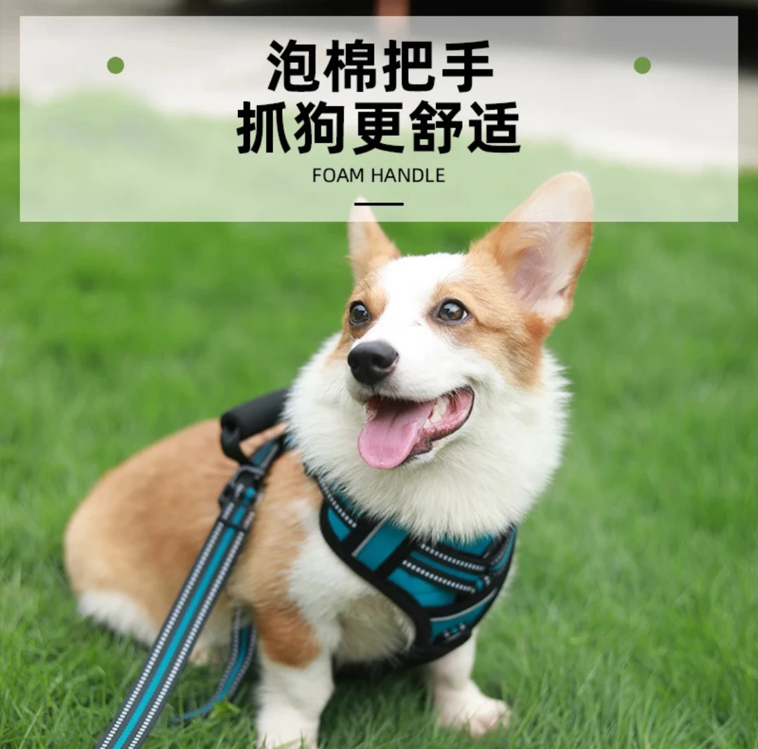 小狗牵引绳宠物调节尼龙结实舒适大型犬胸背带牢固宠物用品简单