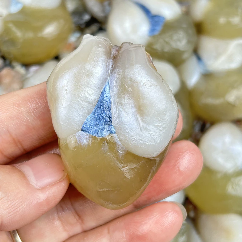 东海纯野生墨鱼蛋 新鲜腌制小目鱼蛋带膏乌贼蛋 宁波舟山海鲜水产