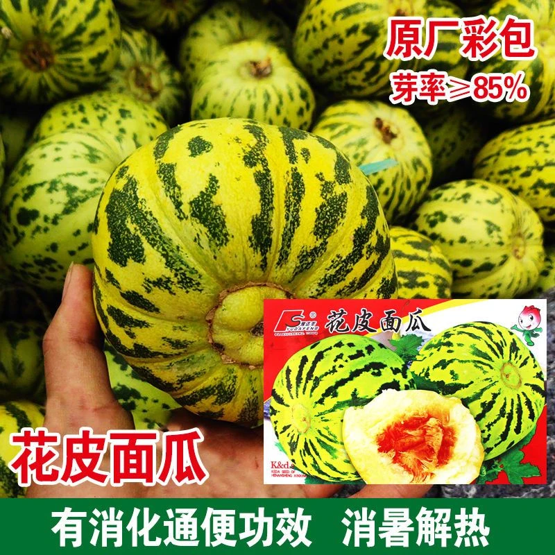 花皮面瓜种子老品种面瓜种籽黄皮黑皮露地生吃甜瓜种籽香瓜四季播