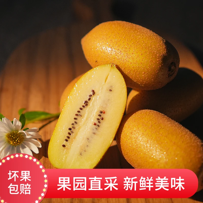 精灵金果黄心猕猴桃先沃7号净重2.5斤 产地直发