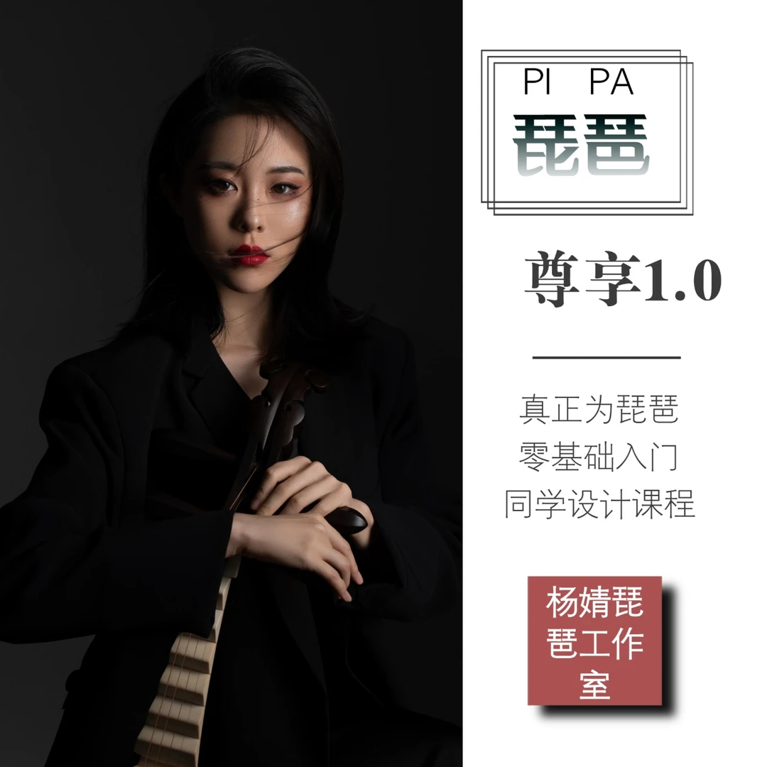 【IOS醇享1.0】琵琶指甲胶布琴弦
