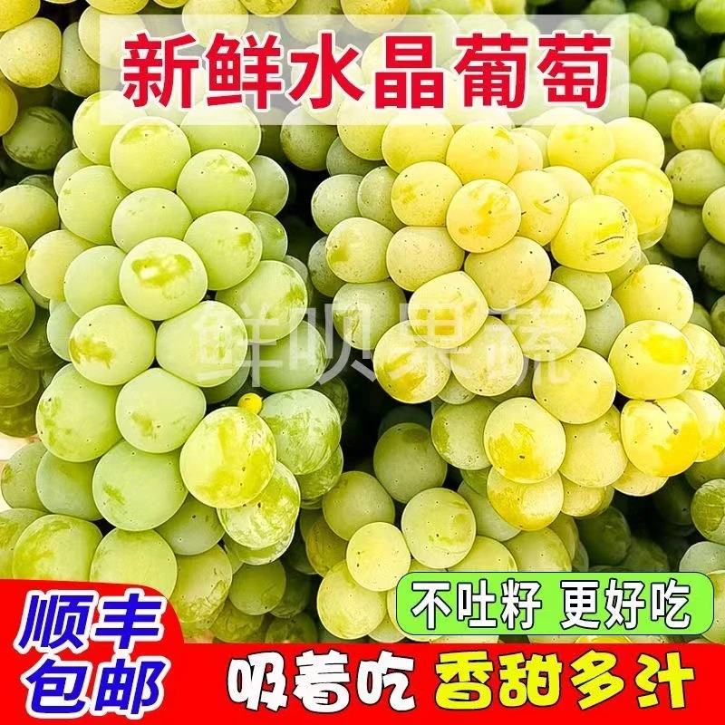 贵州水晶葡萄现摘农家青葡萄孕妇水果新鲜葡萄 息烽红岩葡萄多汁