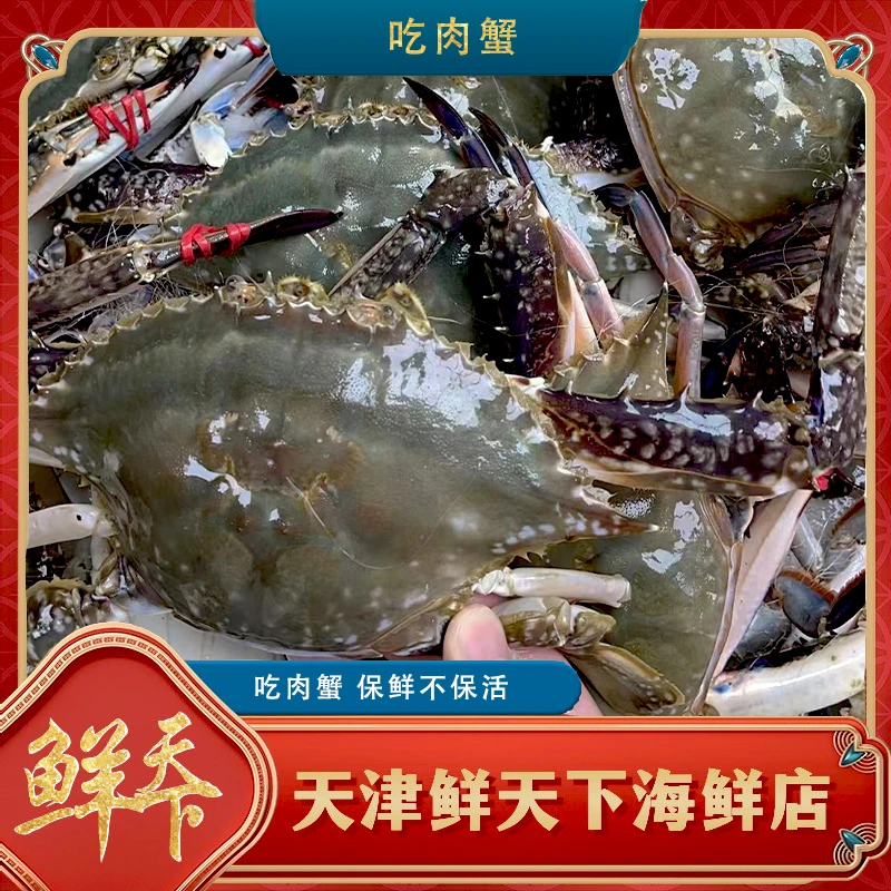 【保鲜不保活】本地吃肉蟹小通货 一斤4-6只左右 1.4两-2.5两 掉爪