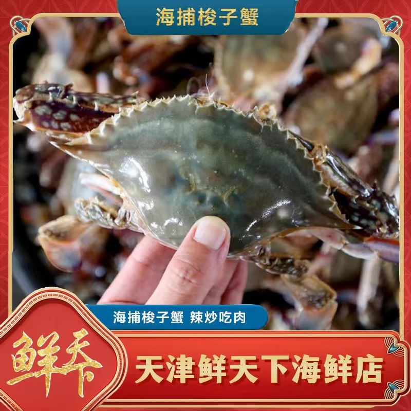 【保鲜不保活】本地精品足黄中母蟹一斤3只左右 单只3-4两