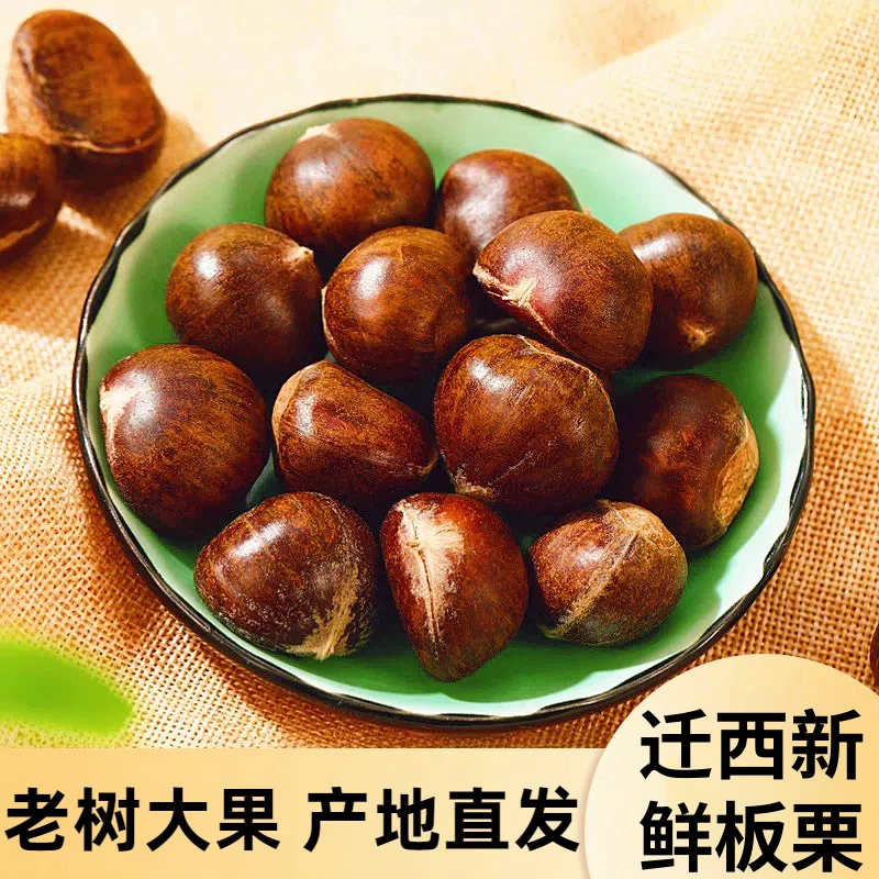 迁西生板栗燕山甘栗河北板栗燕山老树优质生鲜软糯香甜产地直发