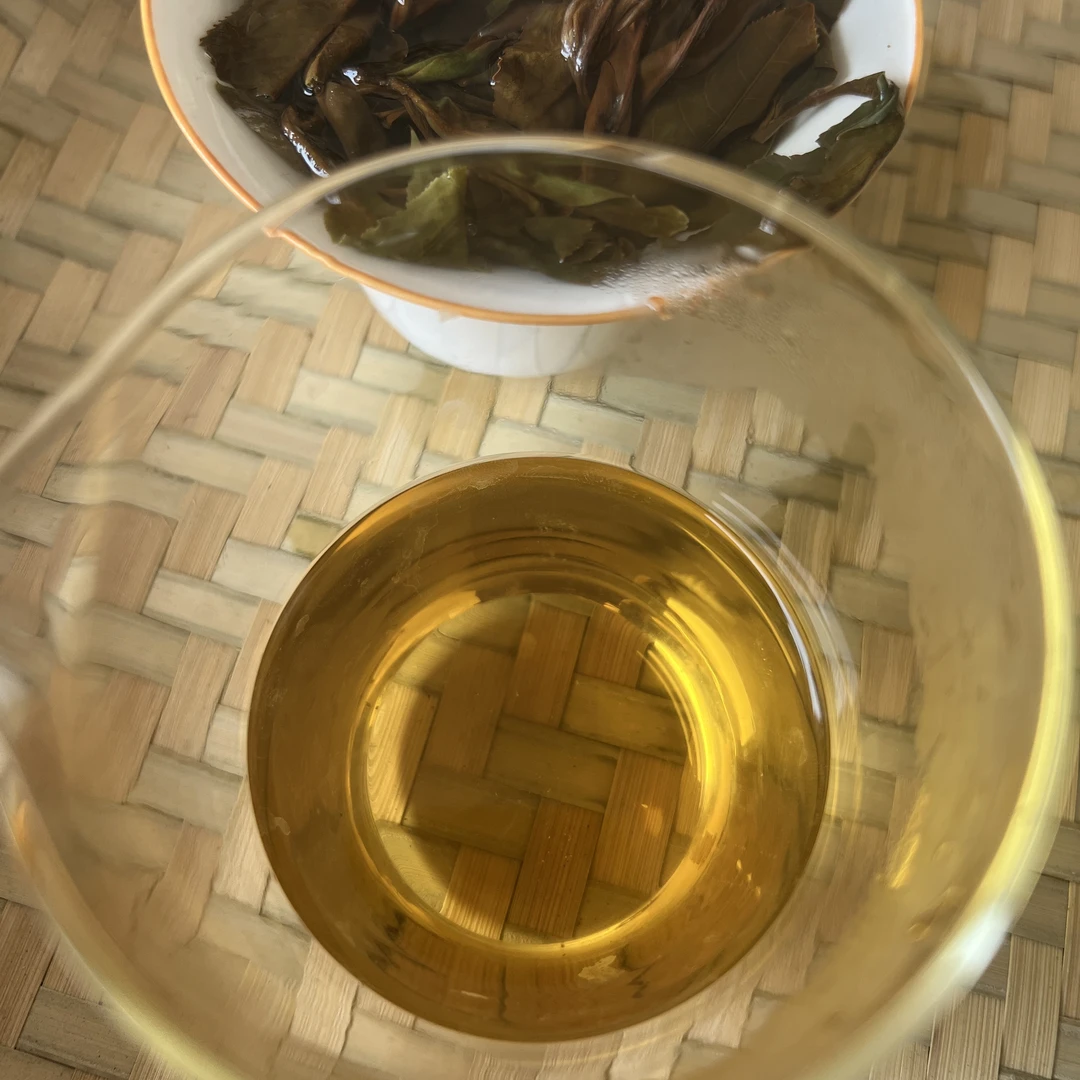 【冰糖甜古树老白茶】2020年云南古树老白茶冰糖甜一芽一叶白茶