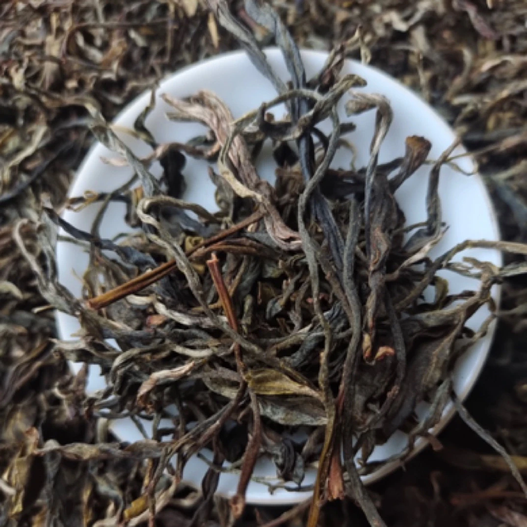 【朴味散茶】云南哀牢山森林古树茶普洱茶生茶古树春茶纯料