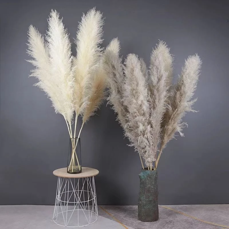 永生花漂白大蒲苇家庭插花装饰花店花材工厂批发百搭云南鲜花制作
