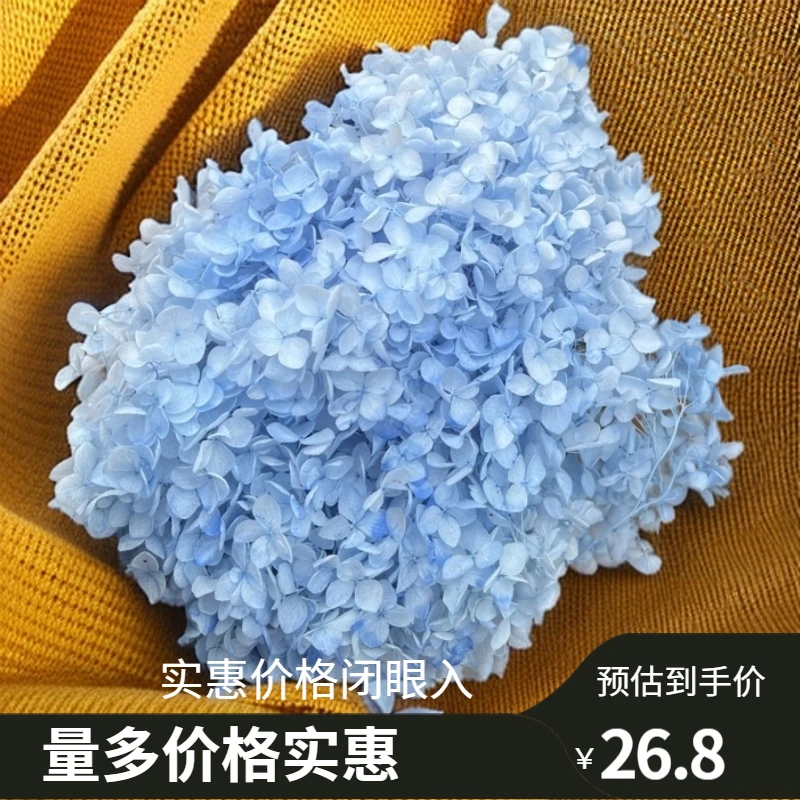 搭配短花绣球花（基本上是花头）手工花材永生花持久 保鲜节日观赏