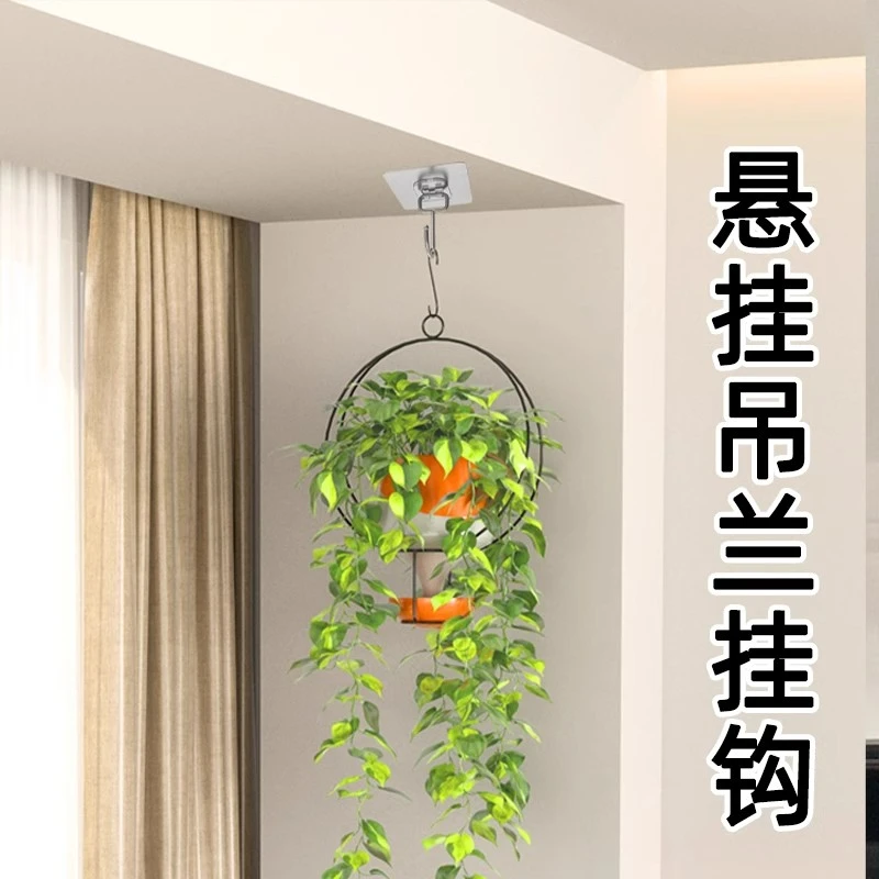 天花板悬挂吊兰挂钩免打孔强力粘胶简约屋顶花盆绿植盆栽玄关挂架