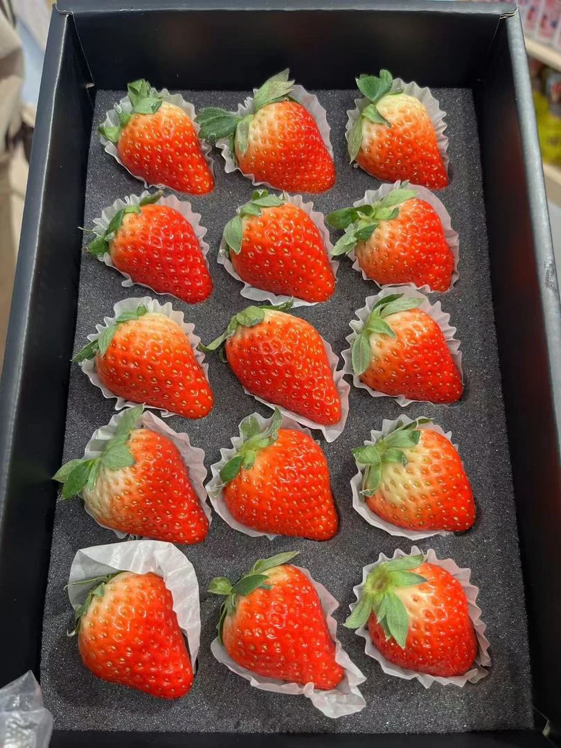 【水东及周边配送】丹东99草莓一盒 口感香嫩 气味芬芳