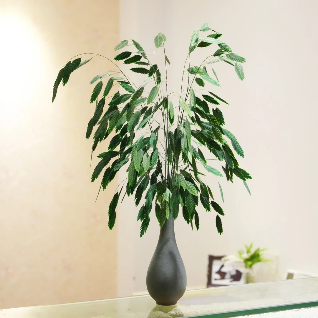 【小盼草】椿之集自产高原A级小盼草自然吸色简约桌面花束永生花