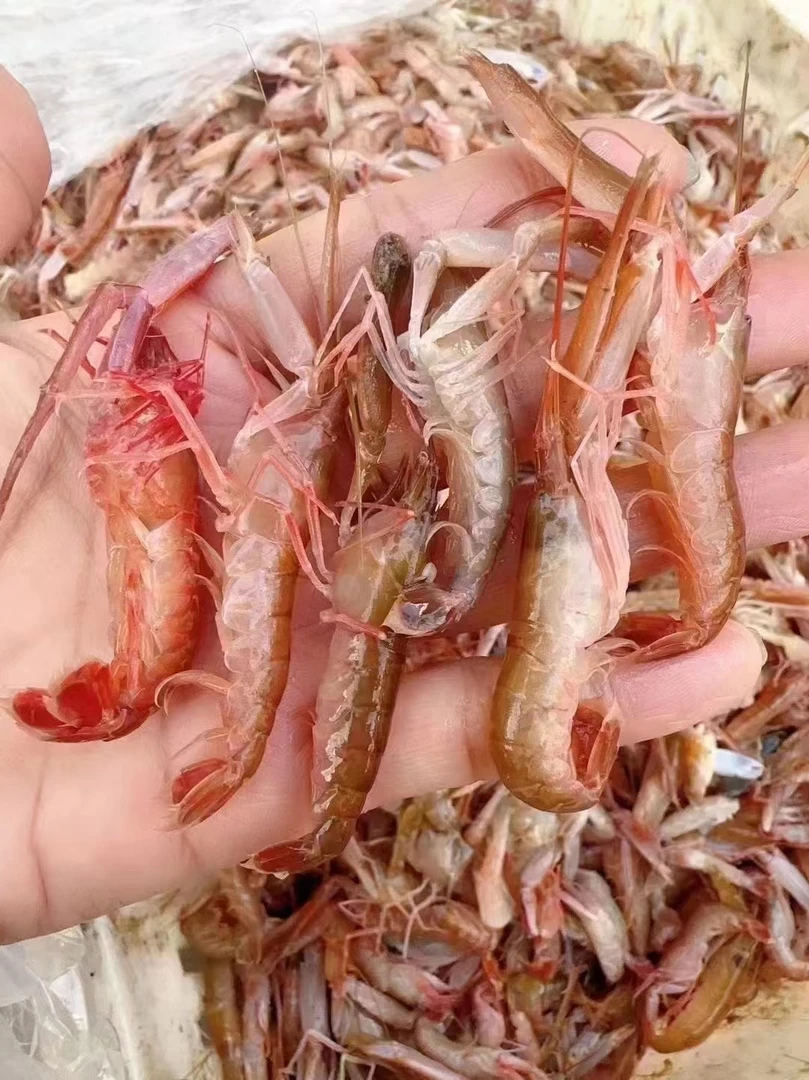 嘎巴虾 4斤装 有大有小介意勿拍 顺丰包邮