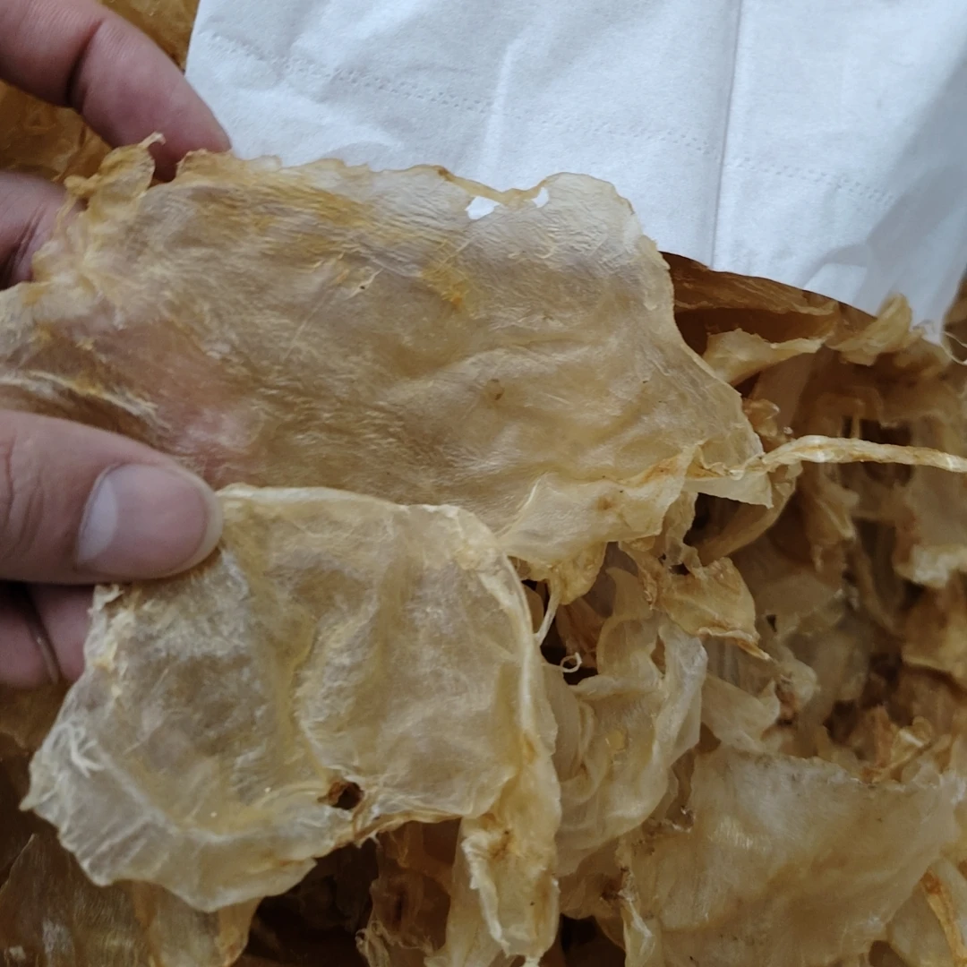 颜芝凡-30只小马仔