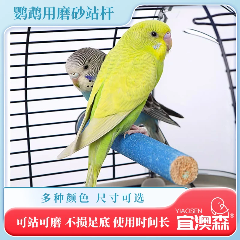 鹦鹉旋风牡丹虎皮鸟用磨爪棒站杆磨嘴木棍鸟磨脚棍升级耐用鸟用品