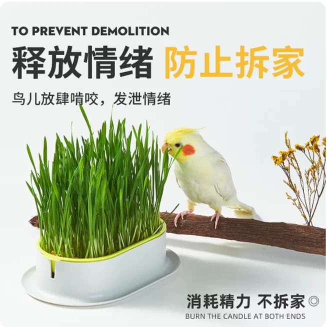 鹦鹉专用鸟草饲料发芽鸟草盒混合粮种子粮发芽粮玄风牡丹虎皮鸟粮