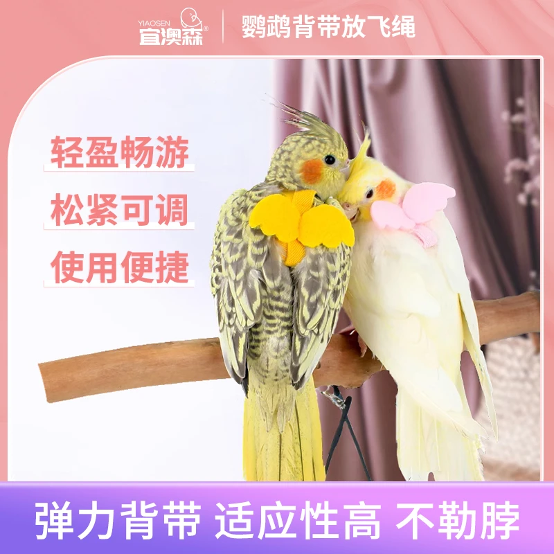 鹦鹉鸟放飞绳衣服虎皮牡丹玄风飞行背带牵引遛鸟绳外出训练绳用品