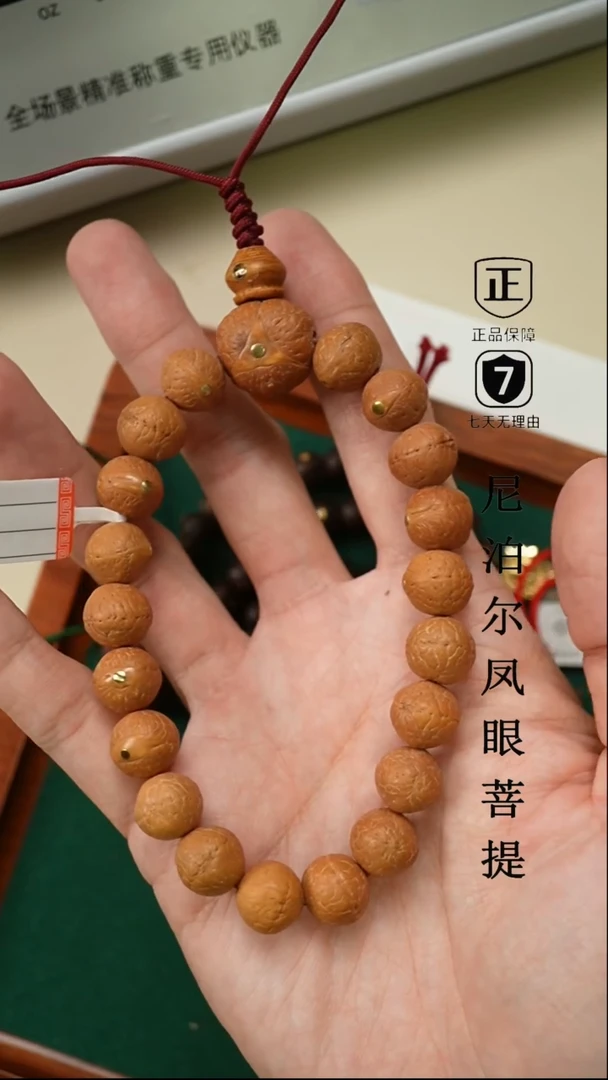 【闪购商品】凤眼菩提手串12+mm尼泊尔凤眼同树原籽铜钉