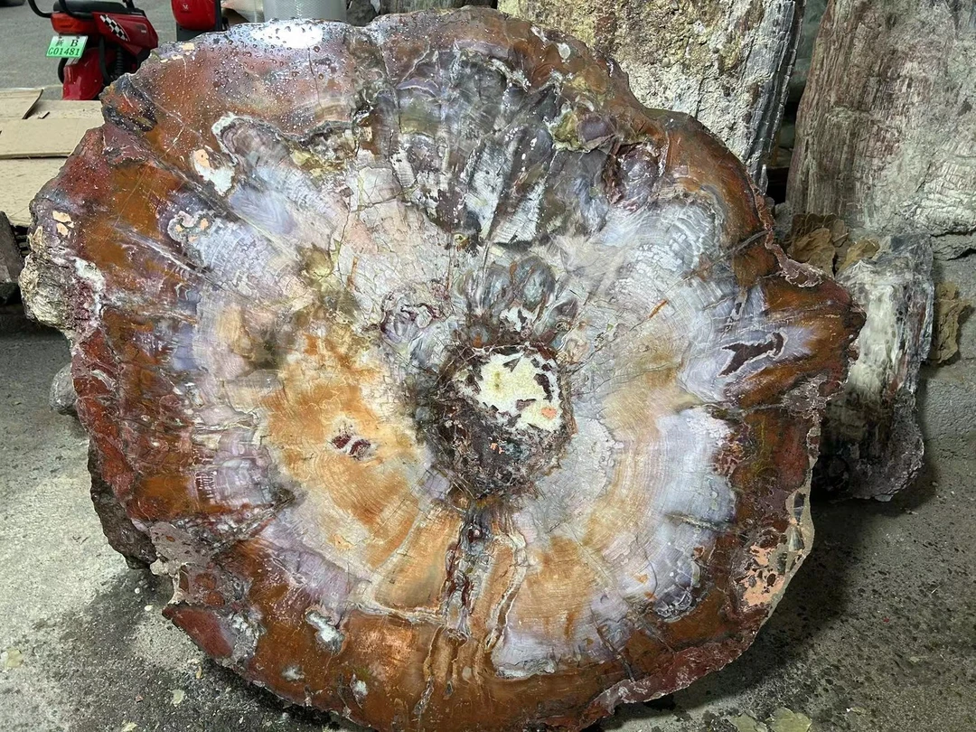 戈壁石风凌石木化石